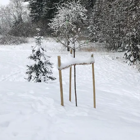 Max Apartament Clausthal-Zellerfeld